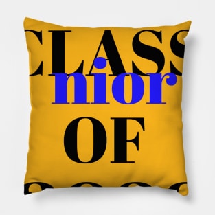 Senior class of 2020 Pillow