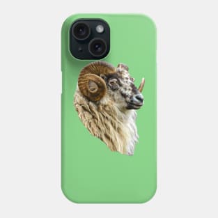 Magnificent Boreray Ram Phone Case