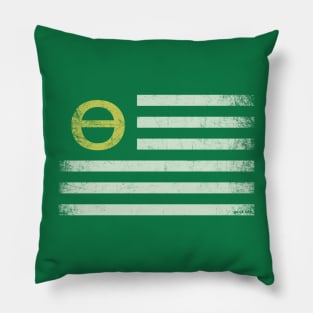 70s Ecology Flag Pillow