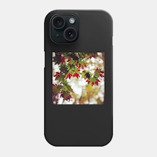 Instagram Maple Leaves Hokkaido Phone Case