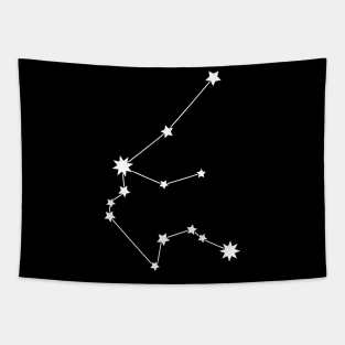 Aquarius Star Sign Tapestry