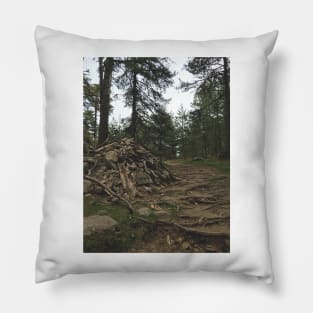 Into the wood Pillow