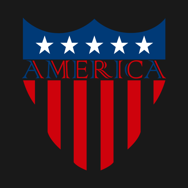 America Flag Vector by malaqueen