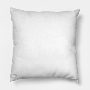 I don't always bake Oh wait Yes I do Pillow