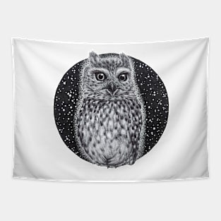 owl with starry night Tapestry