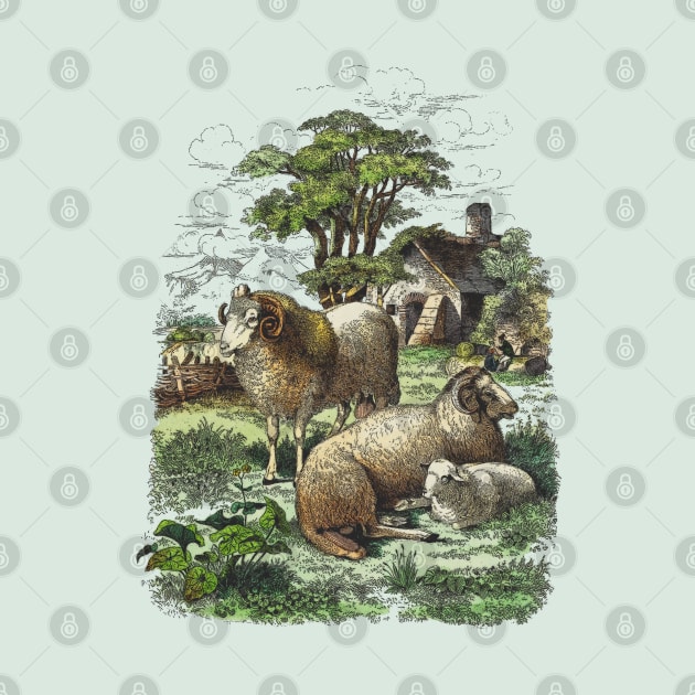 Farm Animals Country Life Illustration by Biophilia