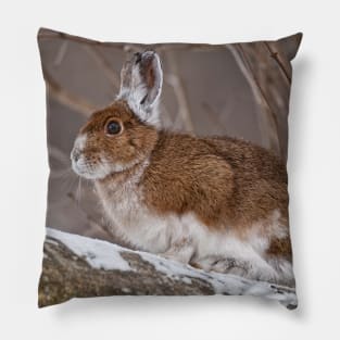 Show Shoe Hare Pillow