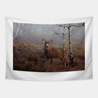 Buck - White-tailed Deer Tapestry