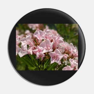 Pink Florida Flowers 2 Pin