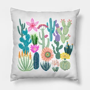 Desert cactus Pillow