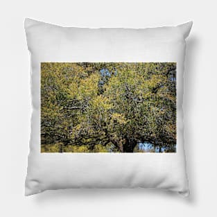 Colorful Tree In The Spring Pillow