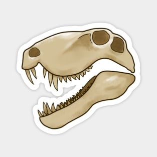 Dimetrodon Skull Magnet