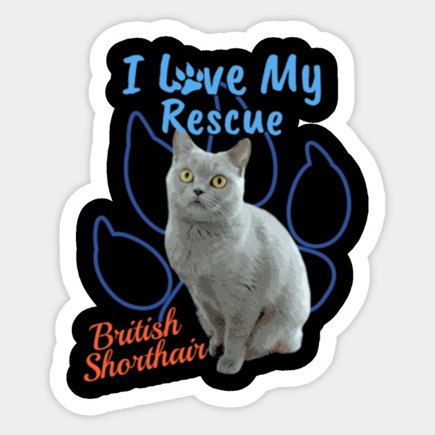 I Love My Rescue British Shorthair Cool Adopted Cat Gifts Cats
