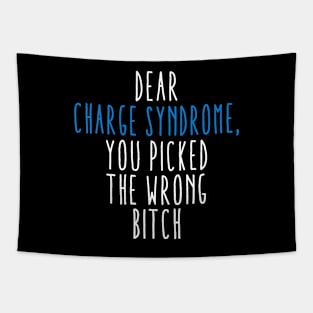 Dear Charge Syndrome You Picked The Wrong Bitch Tapestry