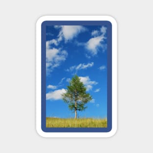 Tree with Cumulus Fractus Magnet