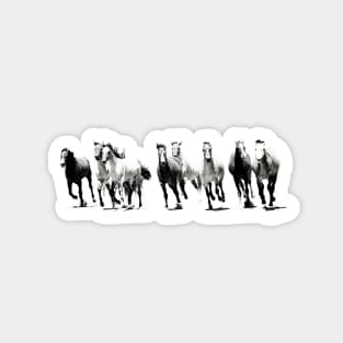 Black and White Horses Running Magnet