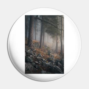 Foggy forest landscape Pin