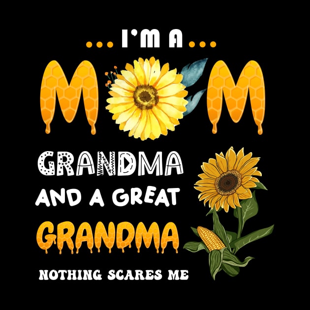 I'm A Mom Grandma Great Nothing Scares Me Mothers Day Gifts by Sky at night