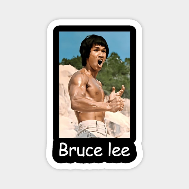 Movie Bruce Jeet Kune Do Bruce Dragon Legend Magnet by Garmentcrooks