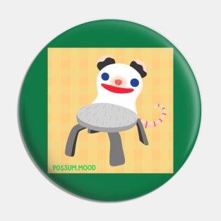 Froggy Chair But It's Not A Frog It's An Opossum Pin