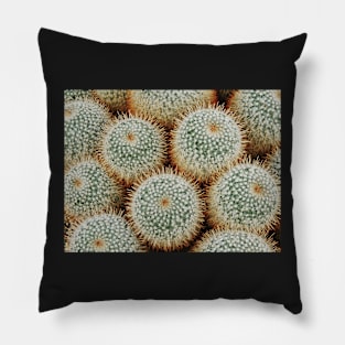 Cacti Galore Pillow