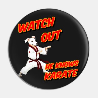 Watch out he knows Karate - dog knows karate Pin