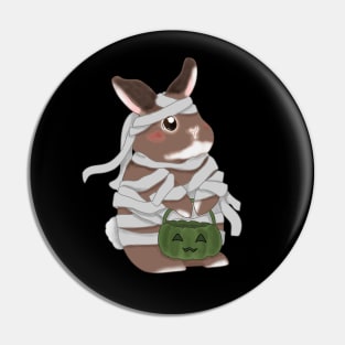 Bunny Mummy with Green Pumpkin _ Bunniesmee Hallowe Pin