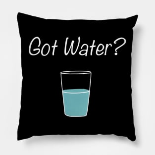 Funny Got Water? Drink Water People Pillow