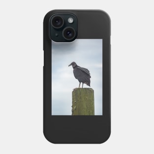 Turkey Vulture of Calabash Phone Case