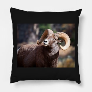 Bighorn Sheep Pillow