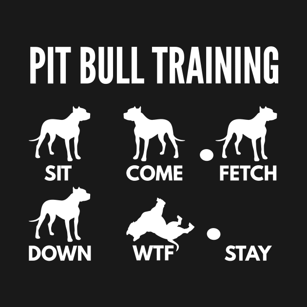 Pit Bull Training Pit Bull Dog Tricks by DoggyStyles
