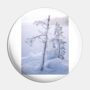 Frozen trees and fog Pin