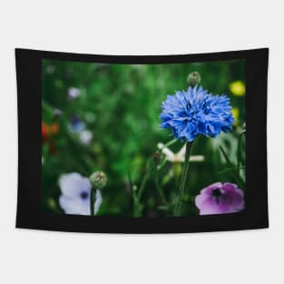 Cornflower Tapestry