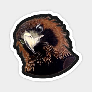 Wedge-tailed Eagle Magnet