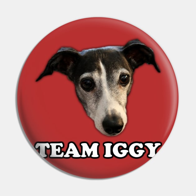 Pretty Good Cooking - Team Iggy Pin by PrettyGoodCooking