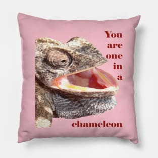 You Are One In A Chameleon Punny Joke Pillow