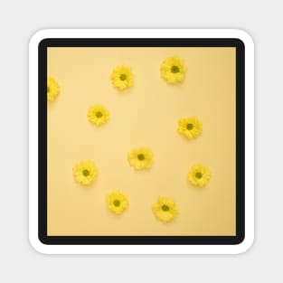 Yellow Daisies Laid on Yellow Surface Magnet