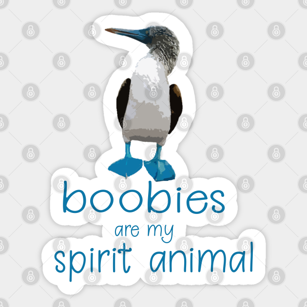 Boobies are my Spirit Animal Boobie Bird Funny - Bird - Sticker | TeePublic Boobies are my Spirit Animal Boobie Bird Funny - Bird - Sticker | TeePublic