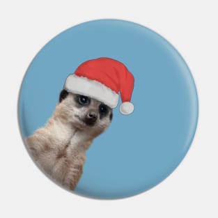 Cute Meerkat in Christmas hat- Peek a boo Pin