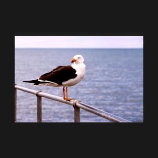 Seagull on lookout T-Shirt