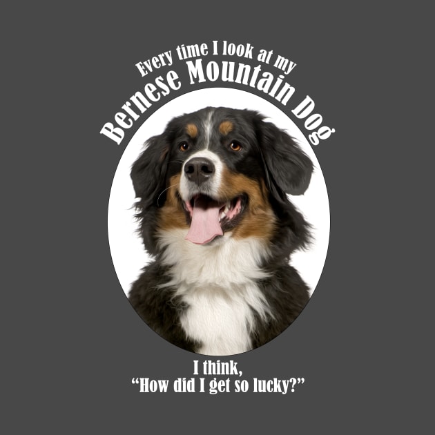 Lucky Bernese Mountain Dog by You Had Me At Woof