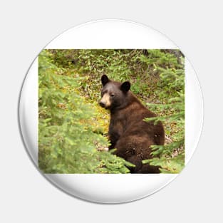 Brown Bear Pin