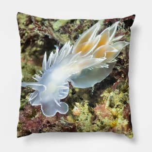 Alabaster Nudibranch / White-lined Dirona Pillow