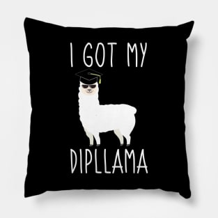 I Got My Dipllama Graduation Pillow