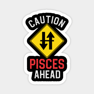 Funny Zodiac Horoscope Pisces Road Sign Traffic Signal Magnet