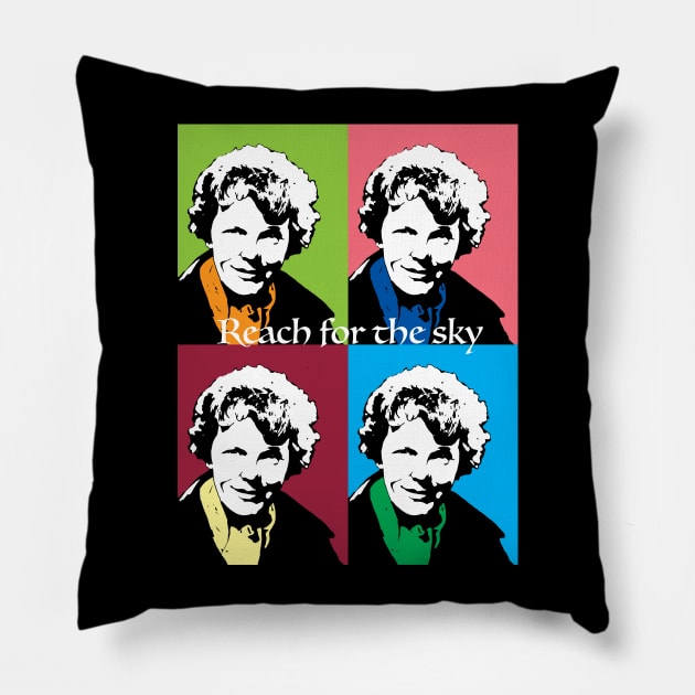 Amelia Earhart Reach for the Sky Pillow by candhdesigns