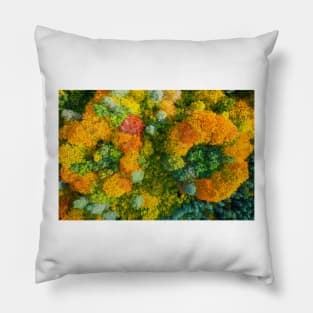 Aerial top down view of vibrant colorful autumn forest Pillow