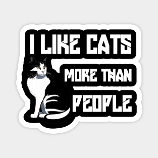 I like cats more than people Magnet