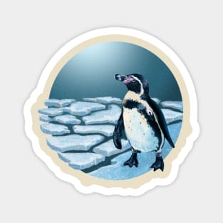 Humboldt Penguin Magnet