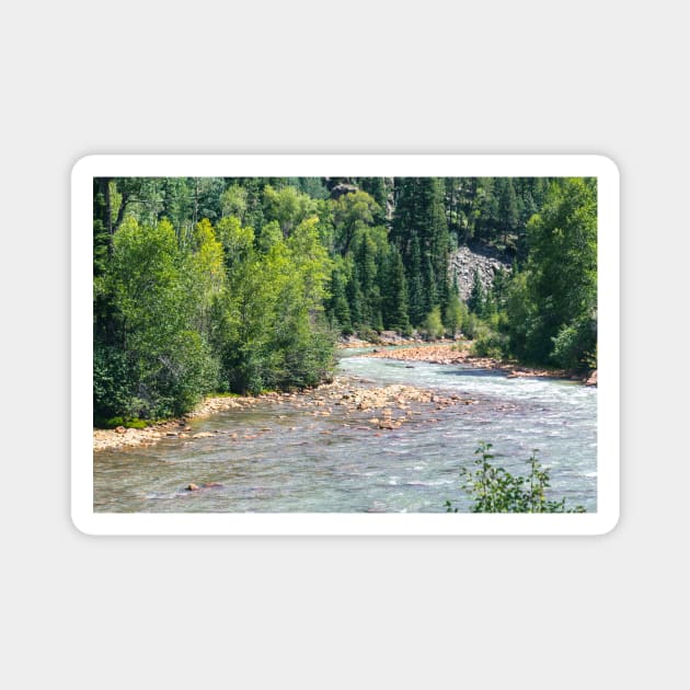 Animas River Magnet by Kelly Louise Art